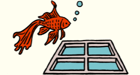 金魚幼魚